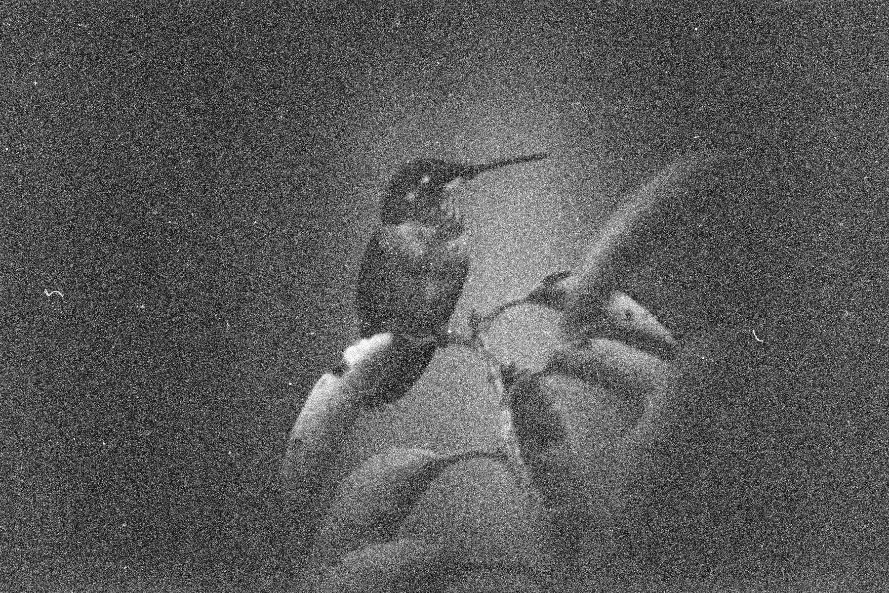 Hummingbird