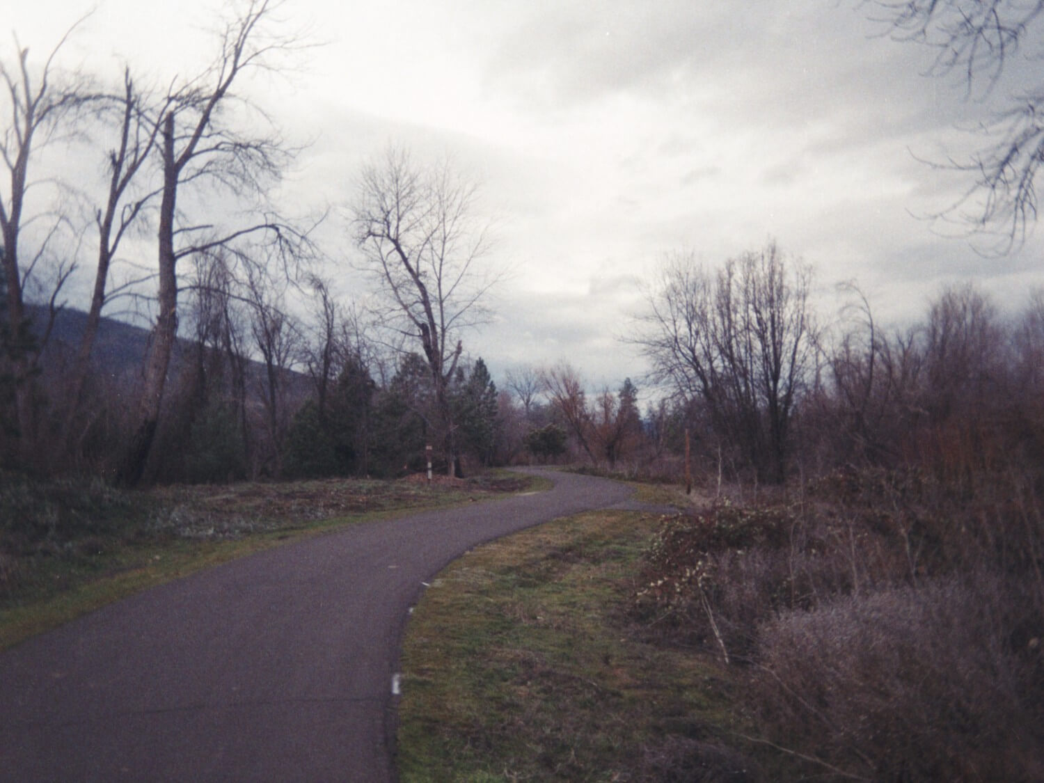 Kodak Ektar H35 Half-frame Camera Sample Image