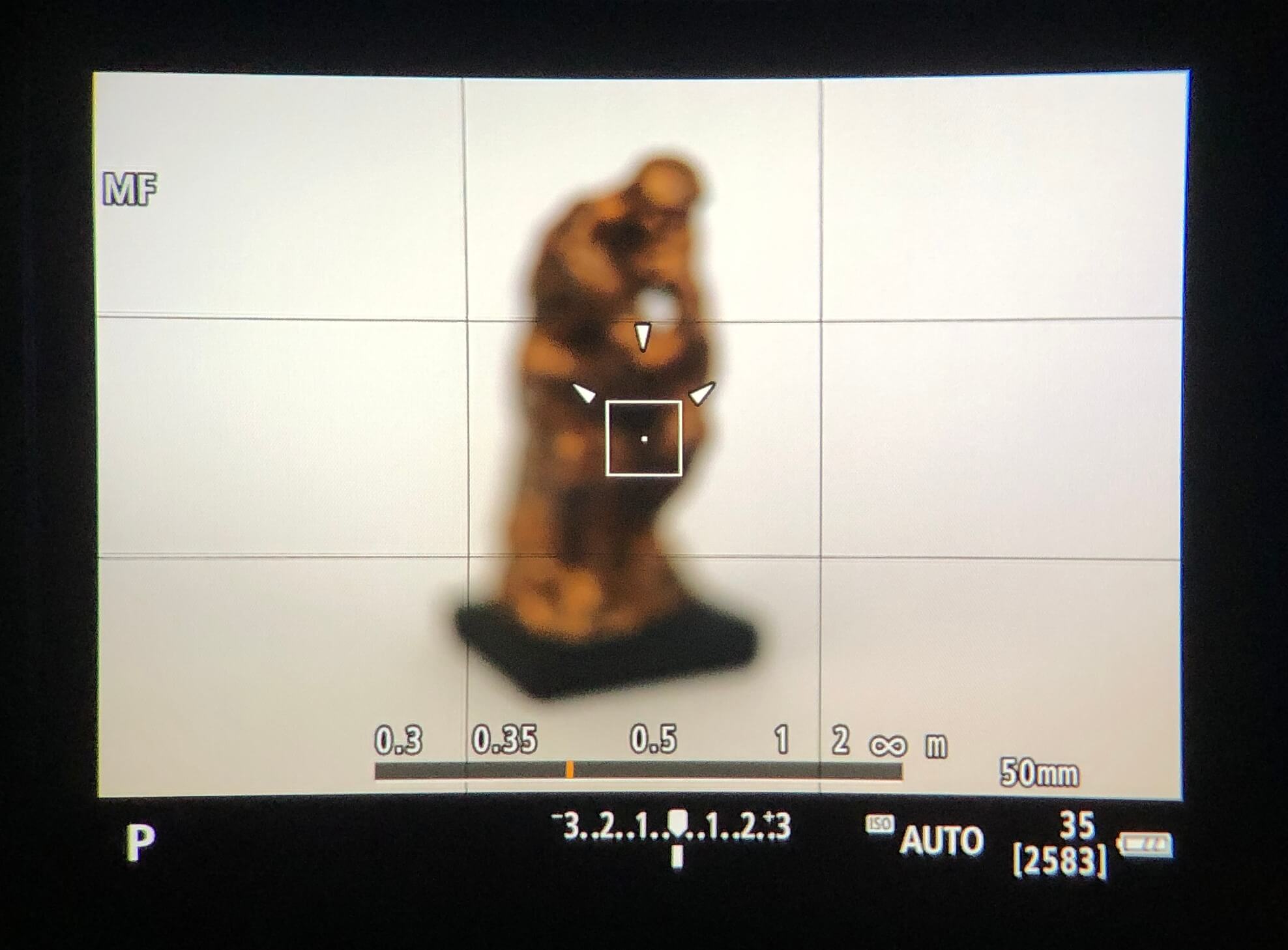 The Thinker out of focus