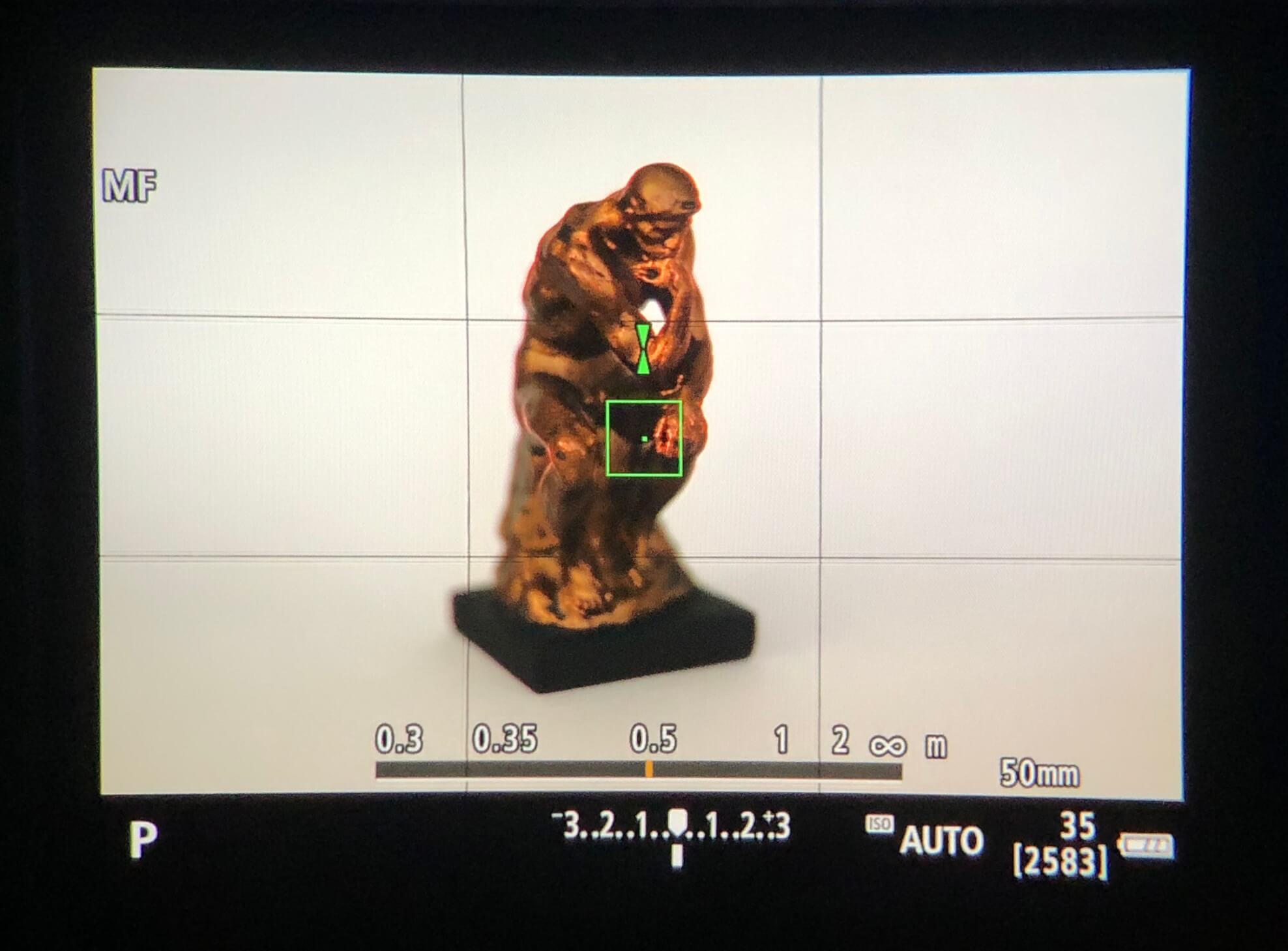 The Thinker in focus