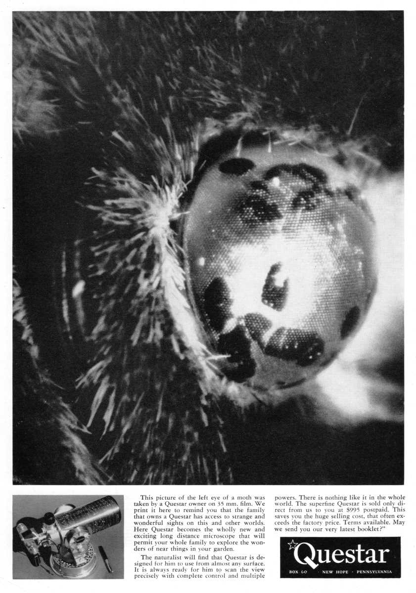 Questar advertisement, <em>Natural History</em>, April 1961