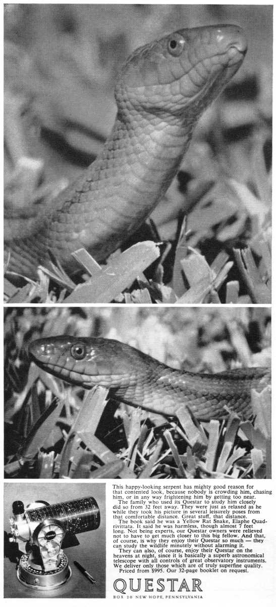 Questar advertisement, <em>Scientific American</em>, December 1963