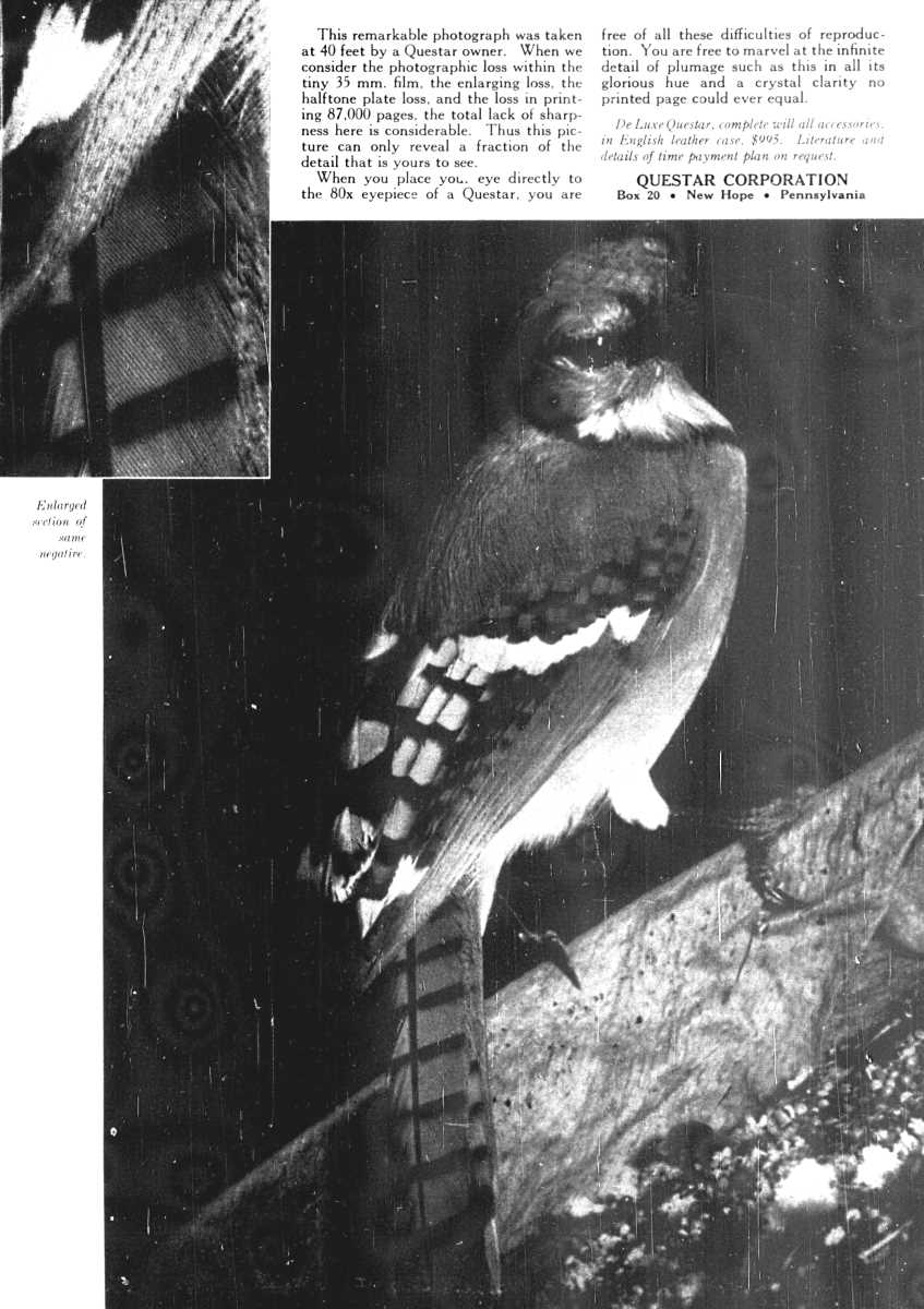 Questar advertisement, <em>Nature</em>, May 1958