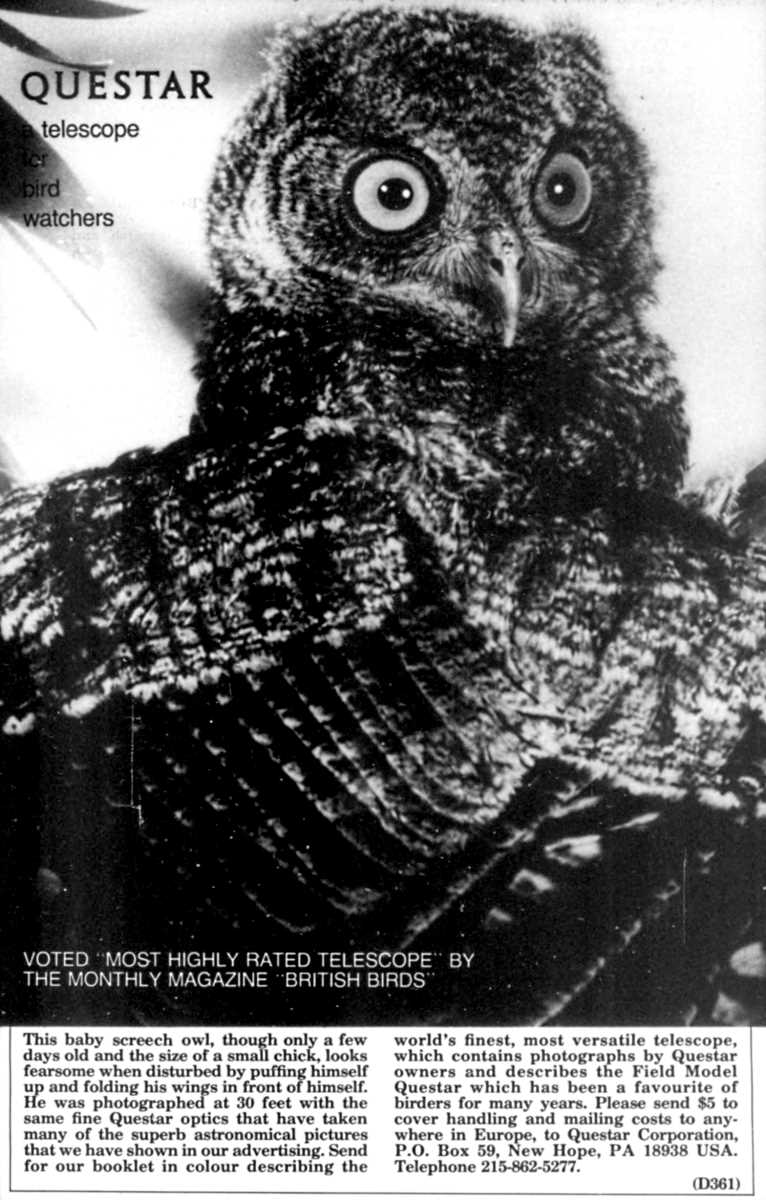 Questar advertisement, <em>British Birds</em>, August 1988