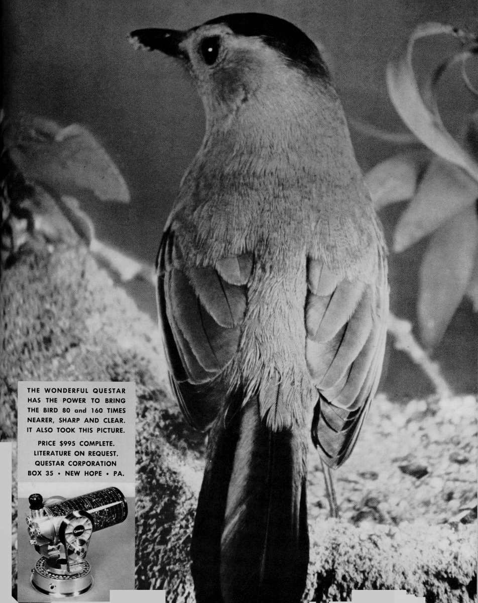 Questar advertisement, <em>Audubon</em>, May-June 1958